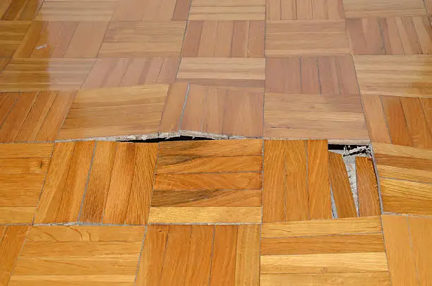 wood floor repair Melbourne