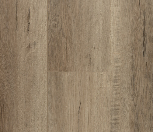 Arpa-P010 Arpa-P010