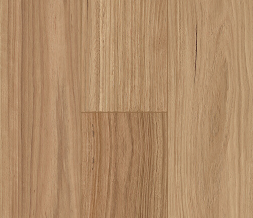 FD8802-Blackbutt FD8802-Blackbutt