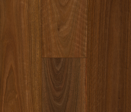 FD8804-QLD-Spotted-Gum FD8804-QLD-Spotted-Gum
