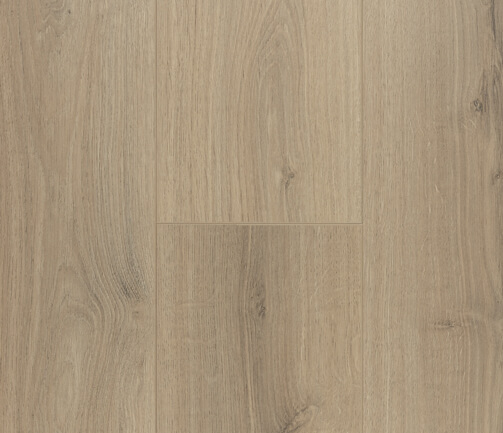 Gris-P016 Gris-P016
