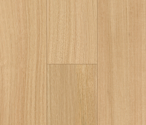 PD8803-Tasmanian-Oak PD8803-Tasmanian-Oak