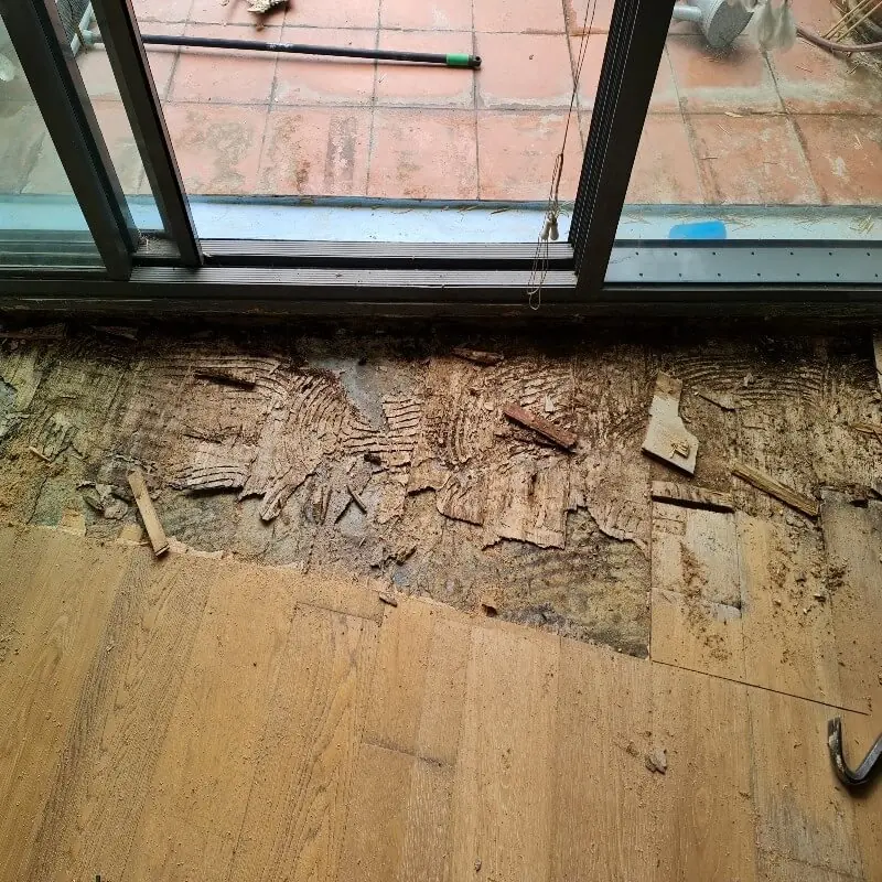 damaged timber floorboards Melbourne damaged timber floorboards Melbourne